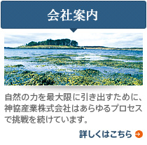 会社案内 自然の力を最大限に引き出すために、神協産業株式会社はあらゆるプロセスで挑戦を続けています。 詳しくはこちら